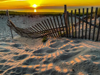 Sand Shadows, Limited 01/25 by Allan MacKinnon