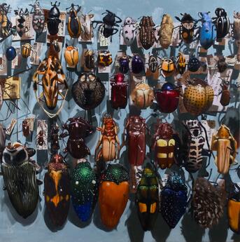 Coleoptera by Paul Beckingham