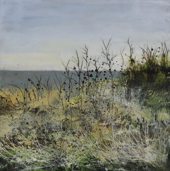 Dunes Flora #2 by Emma Ashby