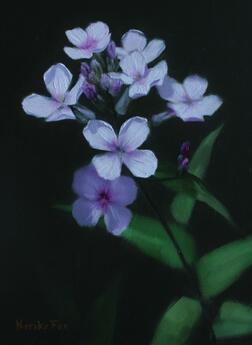 Dames Violet by Noriko Fox