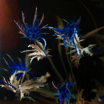 Eryngium by Paul Beckingham