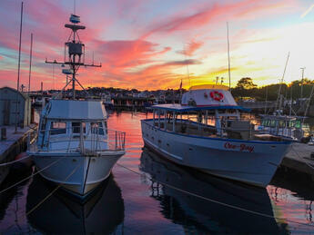 Harbor Light by Allan MacKinnon