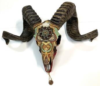 Ram Skull by Helene Bess
