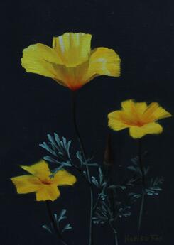 Flowers in July by Noriko Fox